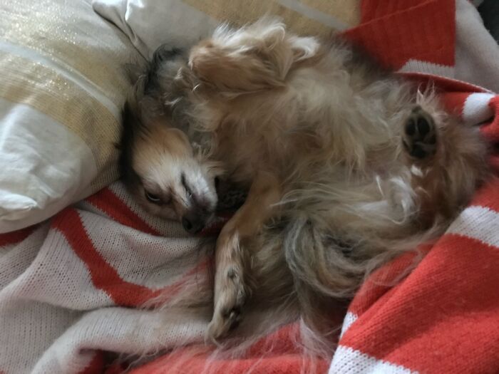 Upside Down, Inside Out