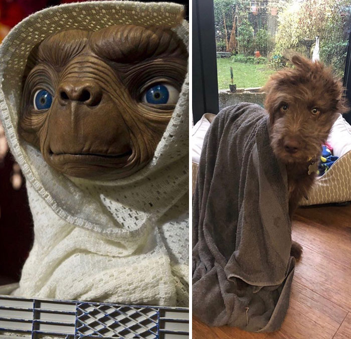 Phone Home