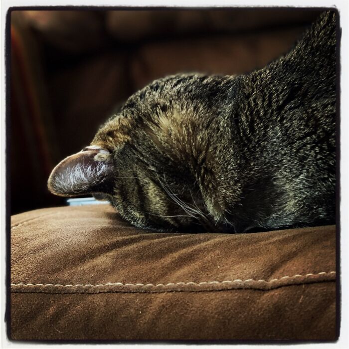 It’s Comfortable. Don’t Judge.