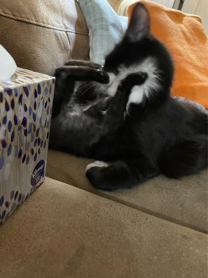 Mom!!! Shop Taking Pictures And Help, I Can’t Breathe!!!