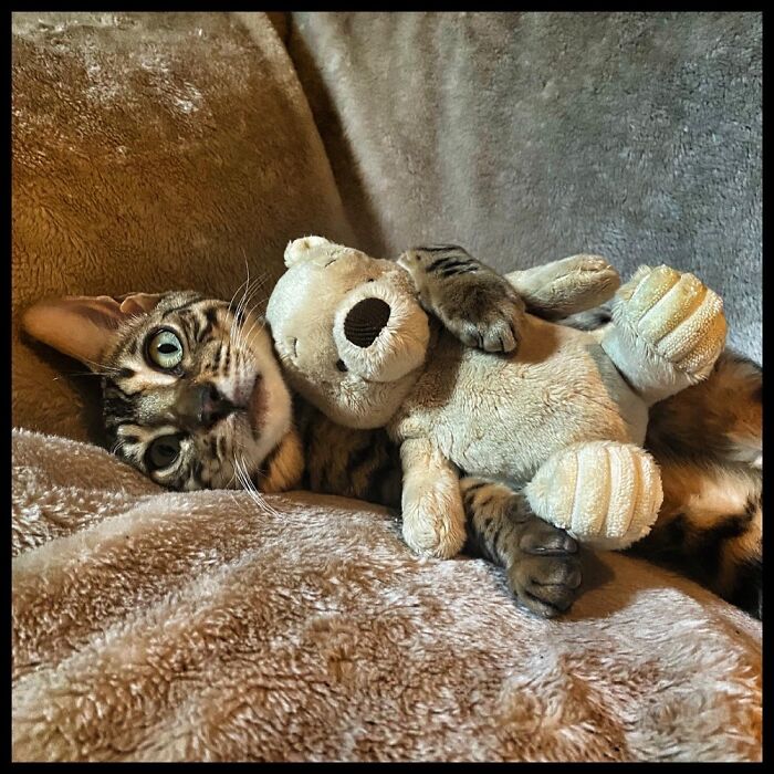 Tum-Tum With His Teddy