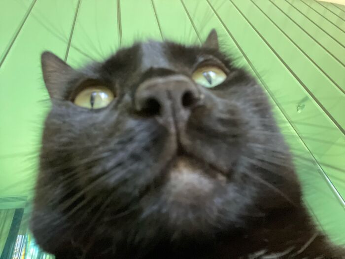 Accidentally Have Your Camera On Selfie Mode