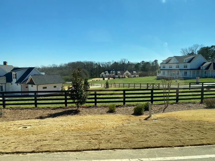 A Pretty Neighborhood On My Bus Ride Home