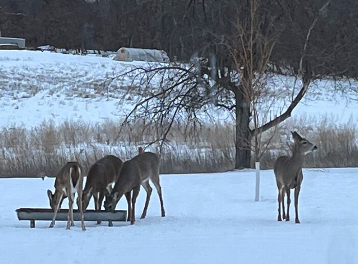 Clearwater, Minnesota