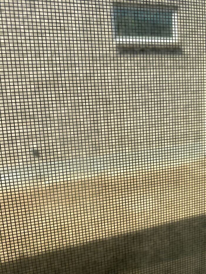 Amazing View Of The Side Of My Neighbors House