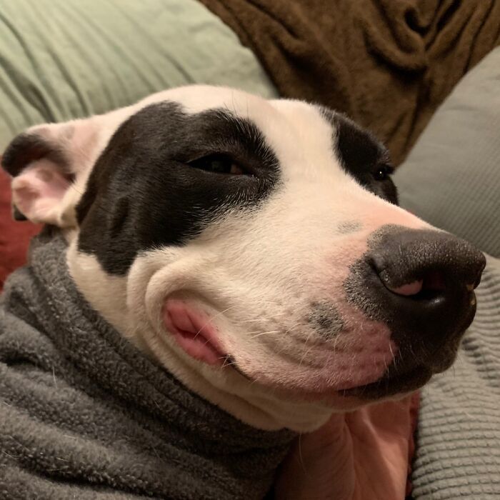 Big Derpy Grin To Cheer Me Up.