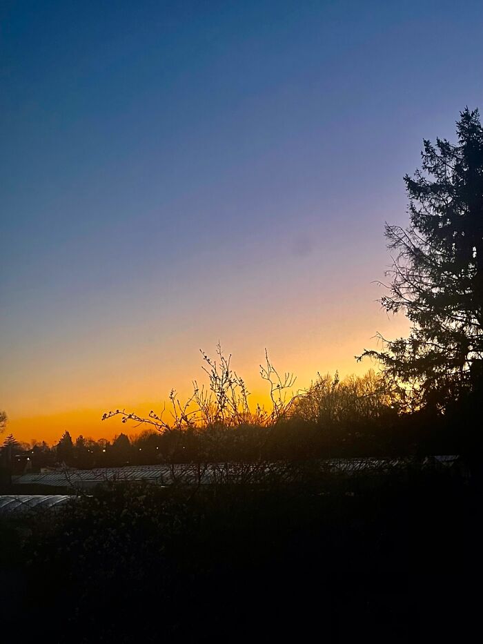 Last Night's Sky Was An Ukrainian Sky