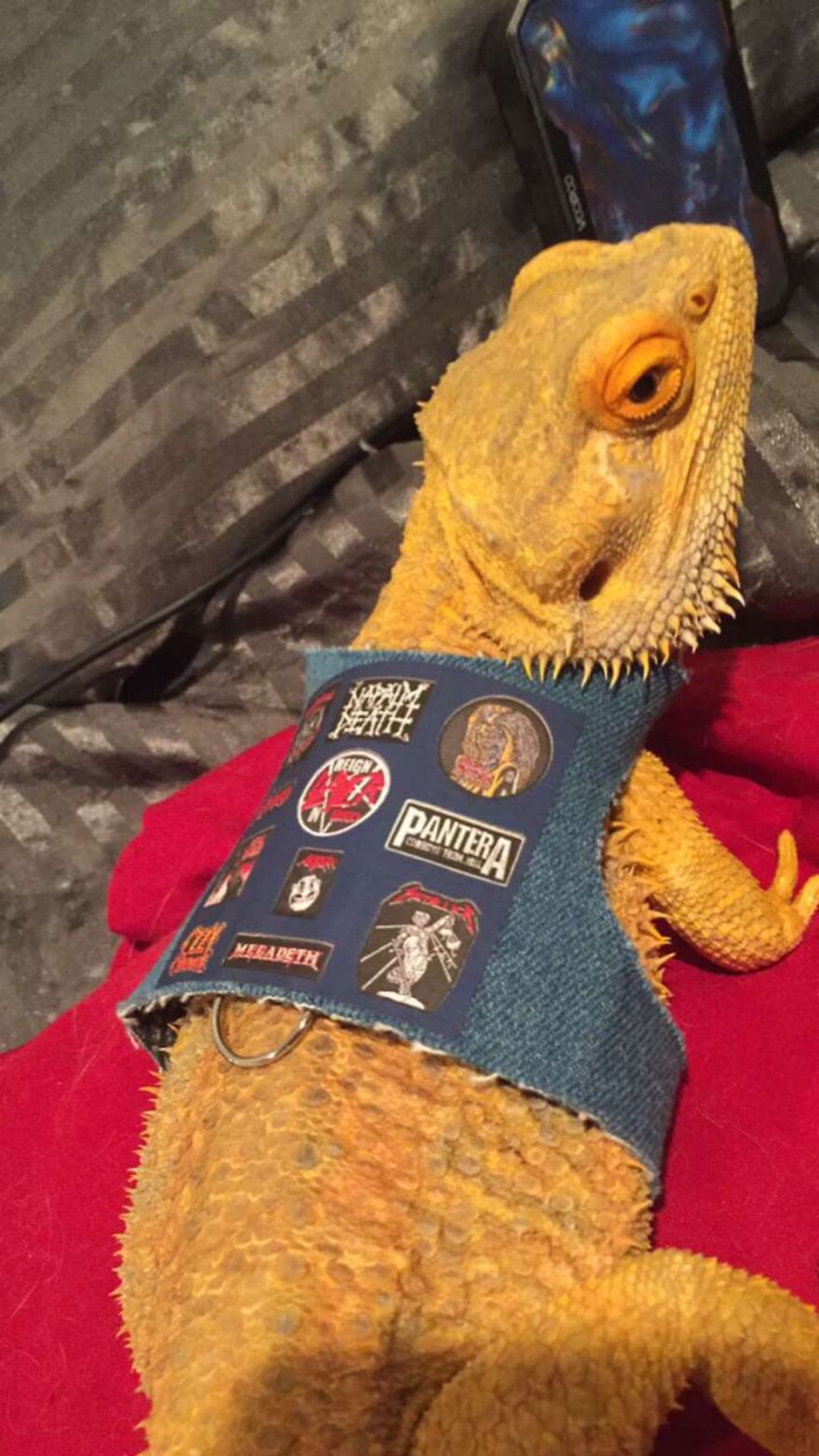 Elvis Rockin’ His Best Vest