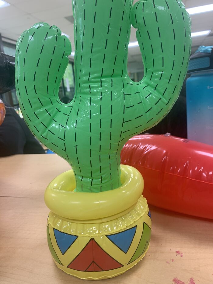 I Got A Box. Just A Box.(No Pic So Here’s A Cactus)