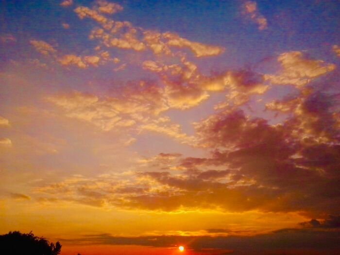 I Check This Spot Every Evening