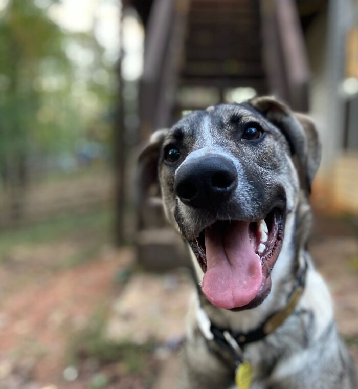 More Photogenic Than Me