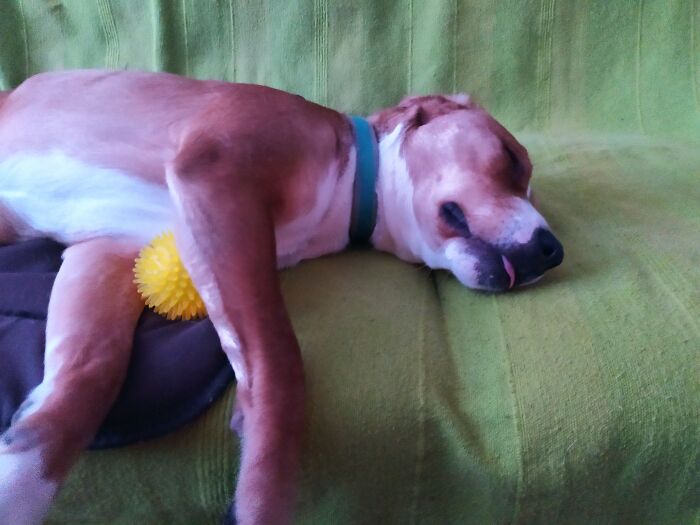 You Can Play And Sleep