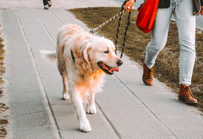 People Share 35 Ridiculous And Infuriating Experiences They Had With Homeowner Associations