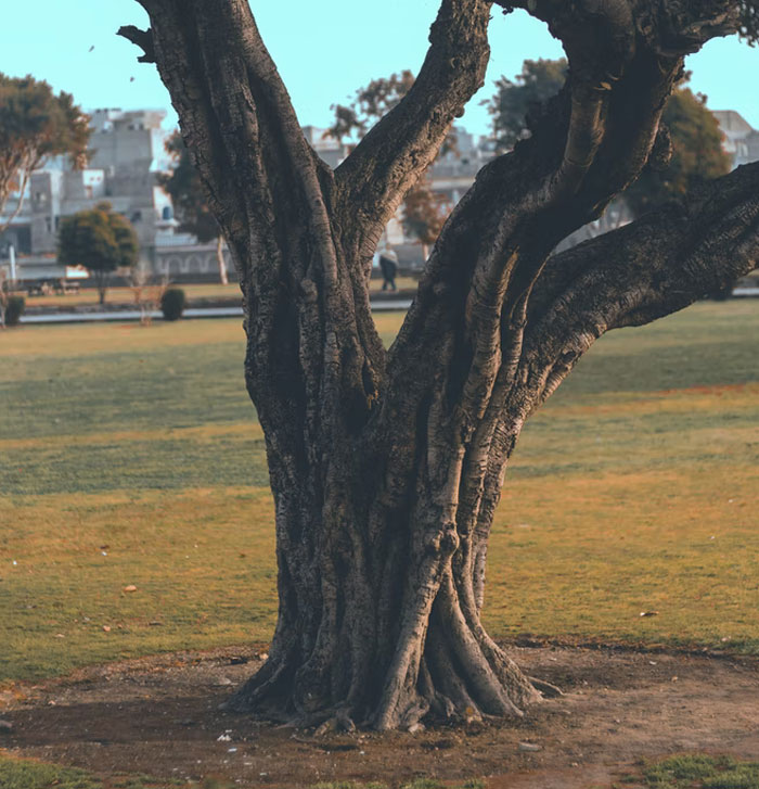 People Share 35 Ridiculous And Infuriating Experiences They Had With Homeowner Associations