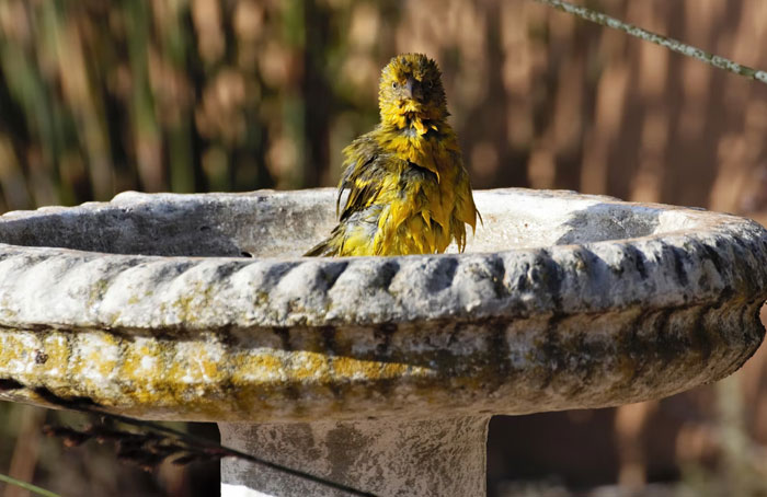 People Share 35 Ridiculous And Infuriating Experiences They Had With Homeowner Associations