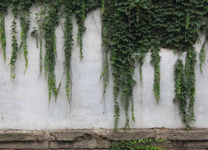 People Share 35 Ridiculous And Infuriating Experiences They Had With Homeowner Associations