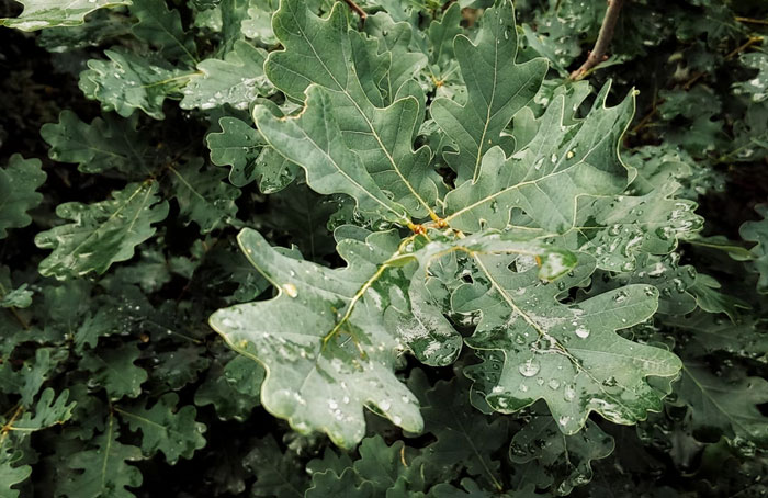 People Share 35 Ridiculous And Infuriating Experiences They Had With Homeowner Associations