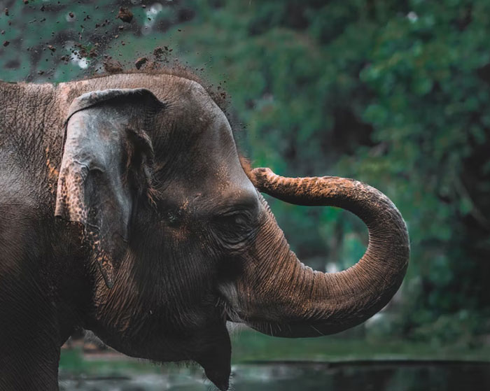 People Share 35 Ridiculous And Infuriating Experiences They Had With Homeowner Associations