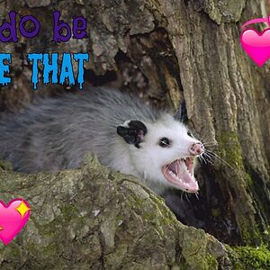 charlottehepworth_1 avatar