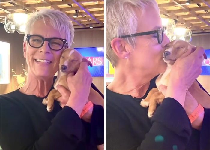 Puppy Named Mac N Cheese Wins Big At The Oscars As John Travolta Adopts Him After Betty White Tribute Puppy Named Mac N Cheese Wins Big At The Oscars As John Travolta Adopts Him After Betty White Tribute