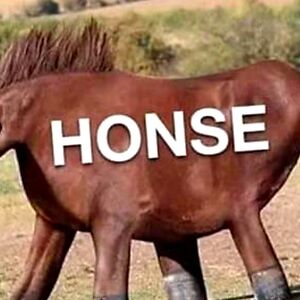 christopherduffy165 avatar