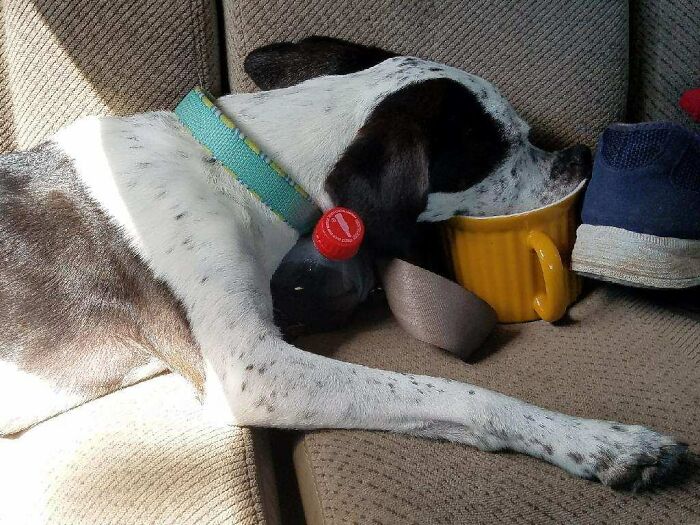 Sally, Ex Caffeine Junkie.