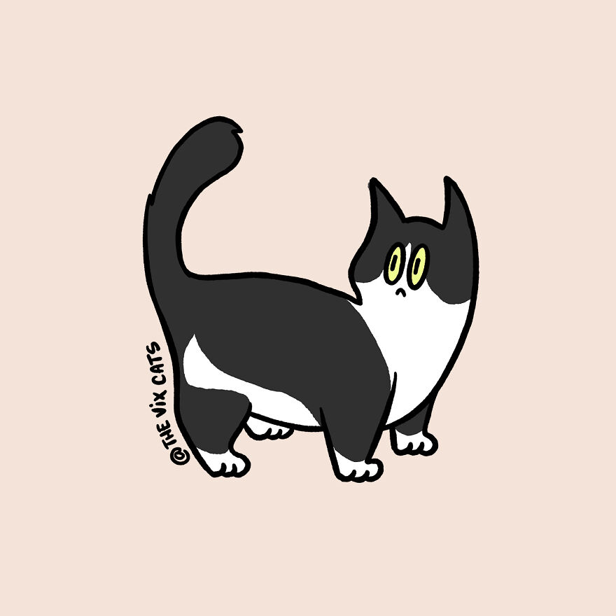 I Began Drawing Illustrations Of My Two Lovely Cats After I Got A Second Cat, Here's How It Went (21 Pics)
