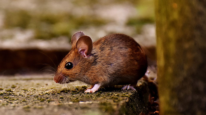 50 New ‘Today I Learned’ Facts That Prove It’s Never Too Late To Learn Something New