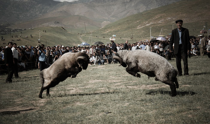 50 New ‘Today I Learned’ Facts That Prove It’s Never Too Late To Learn Something New