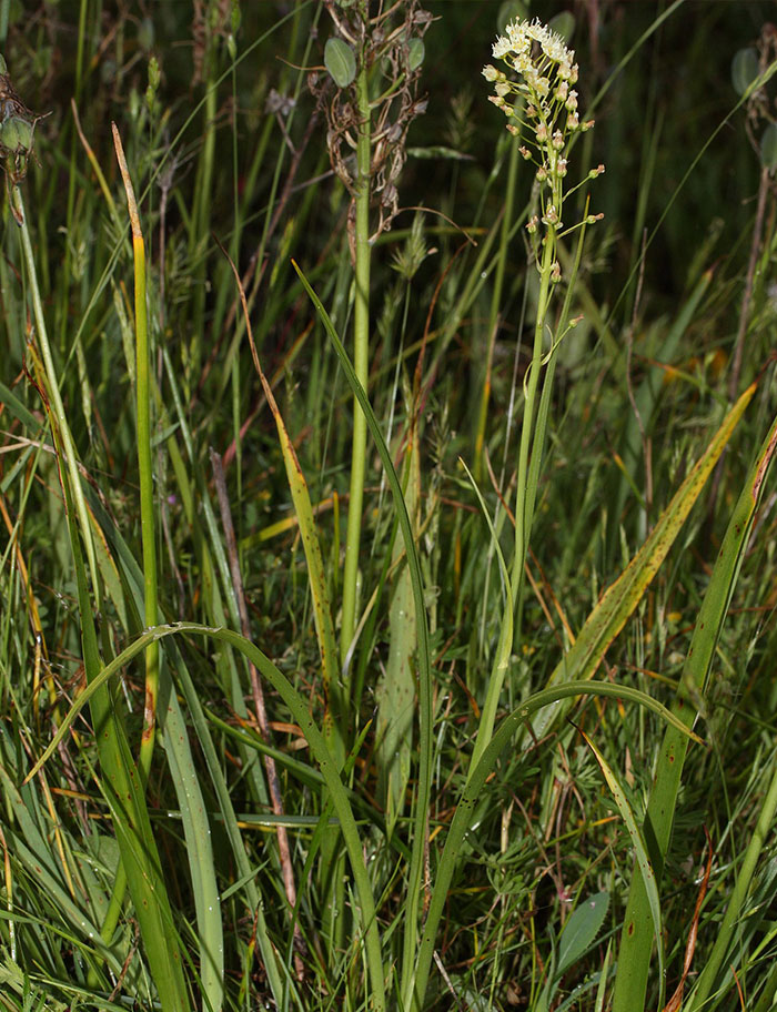 50 New ‘Today I Learned’ Facts That Prove It’s Never Too Late To Learn Something New