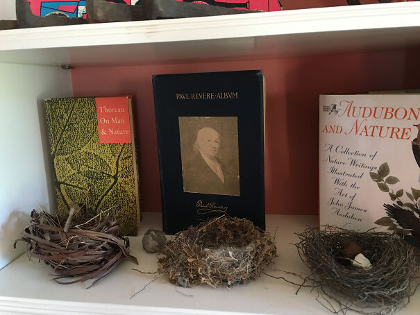 (Abandoned) Nests... And Old Books.