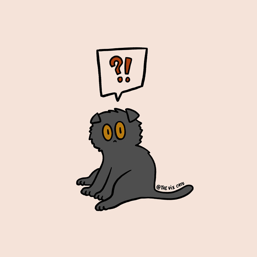 I Began Drawing Illustrations Of My Two Lovely Cats After I Got A Second Cat, Here's How It Went (21 Pics)