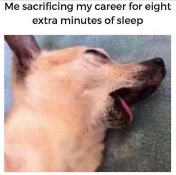 Office-Struggles-Memes