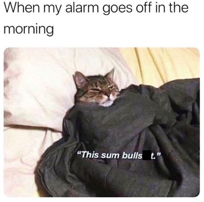 Office-Struggles-Memes