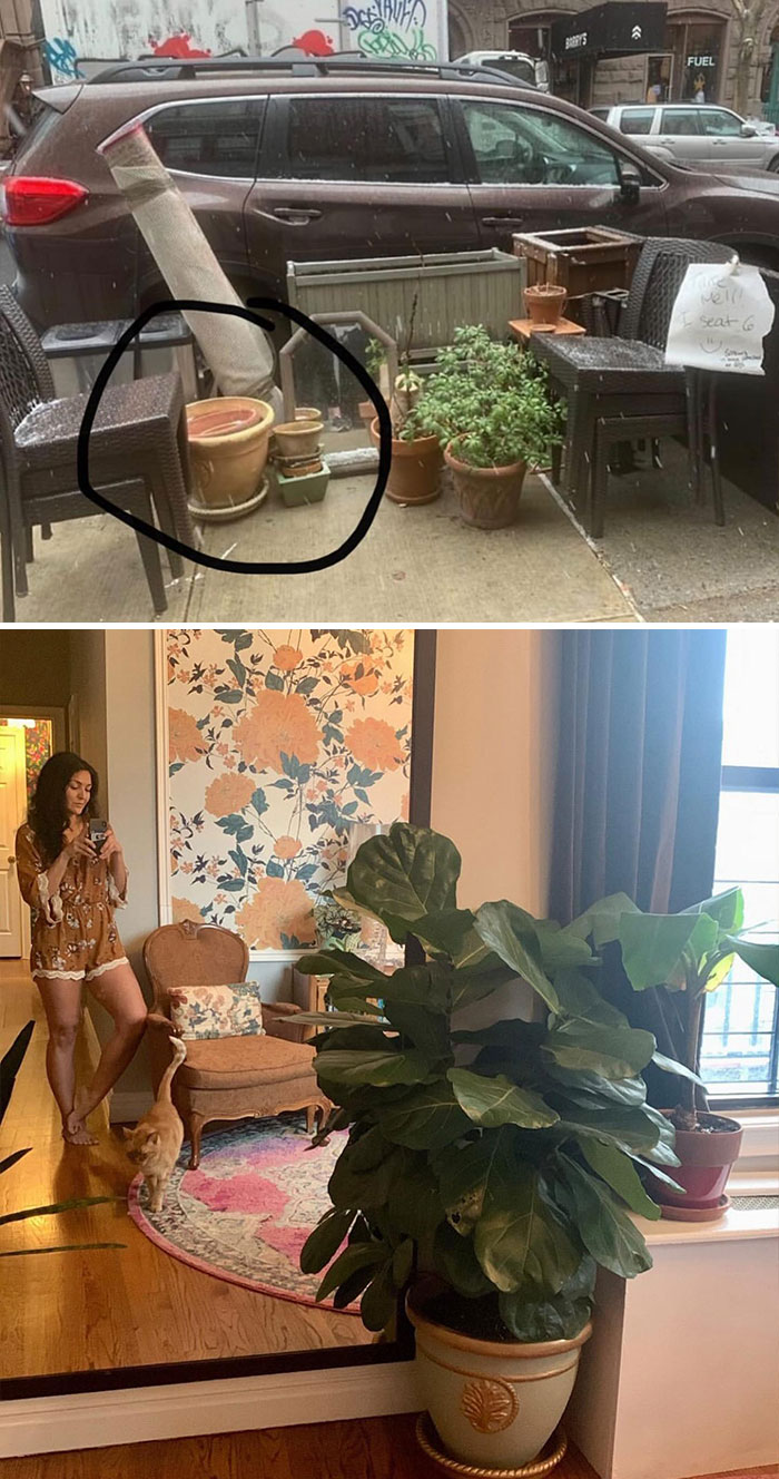 A Beautiful Stooping Success For A Beautiful Home!