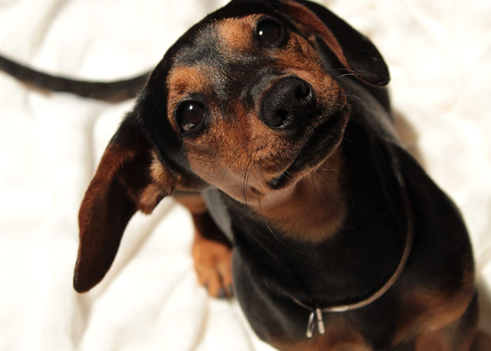 People Are Calling Out Jobs They Think Are 100% Overpaid (30 Answers)