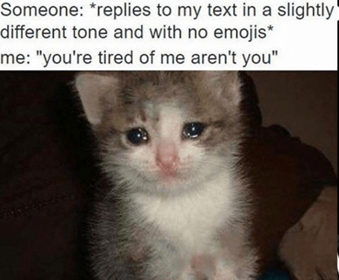 Crying kitten meme about overthinking text replies with no emojis.