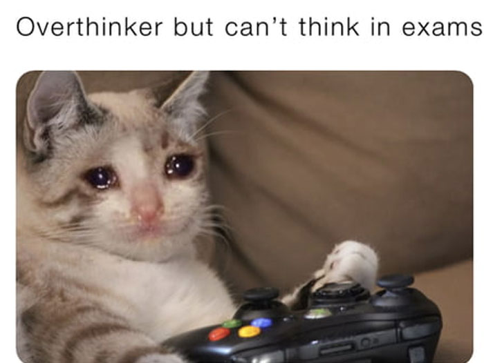 Overthinking-Funny-Jokes-Memes