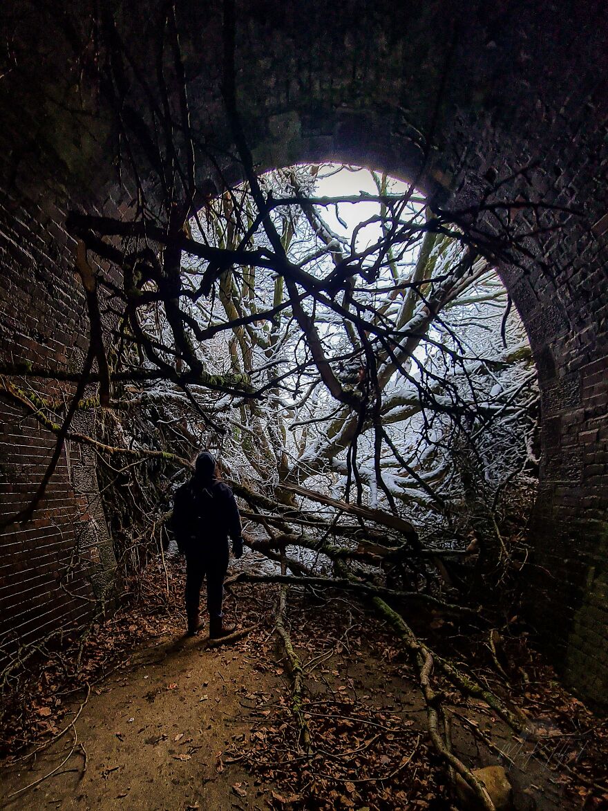 The Storm Knocked Down Several Trees And Blocked The Tunnel