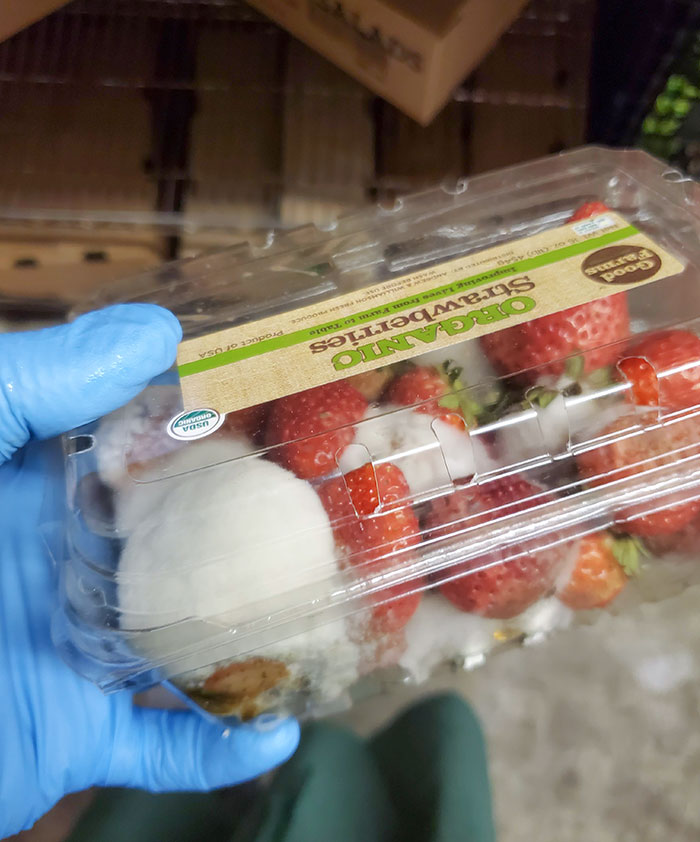 Two Weeks Of Telling My Boss The Produce In The Warehouse Is Going Bad. Him: Don't Worry About It