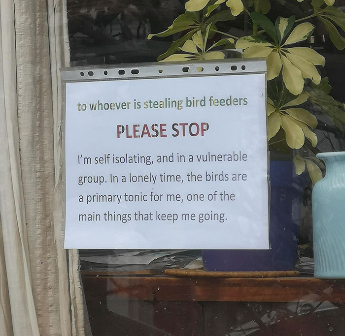 Stealing From A Self-Isolating, Vulnerable Neighbor