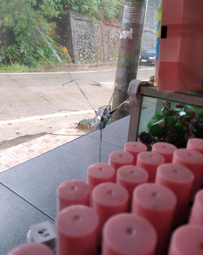 Someone Threw A Rock At My Mom's Store