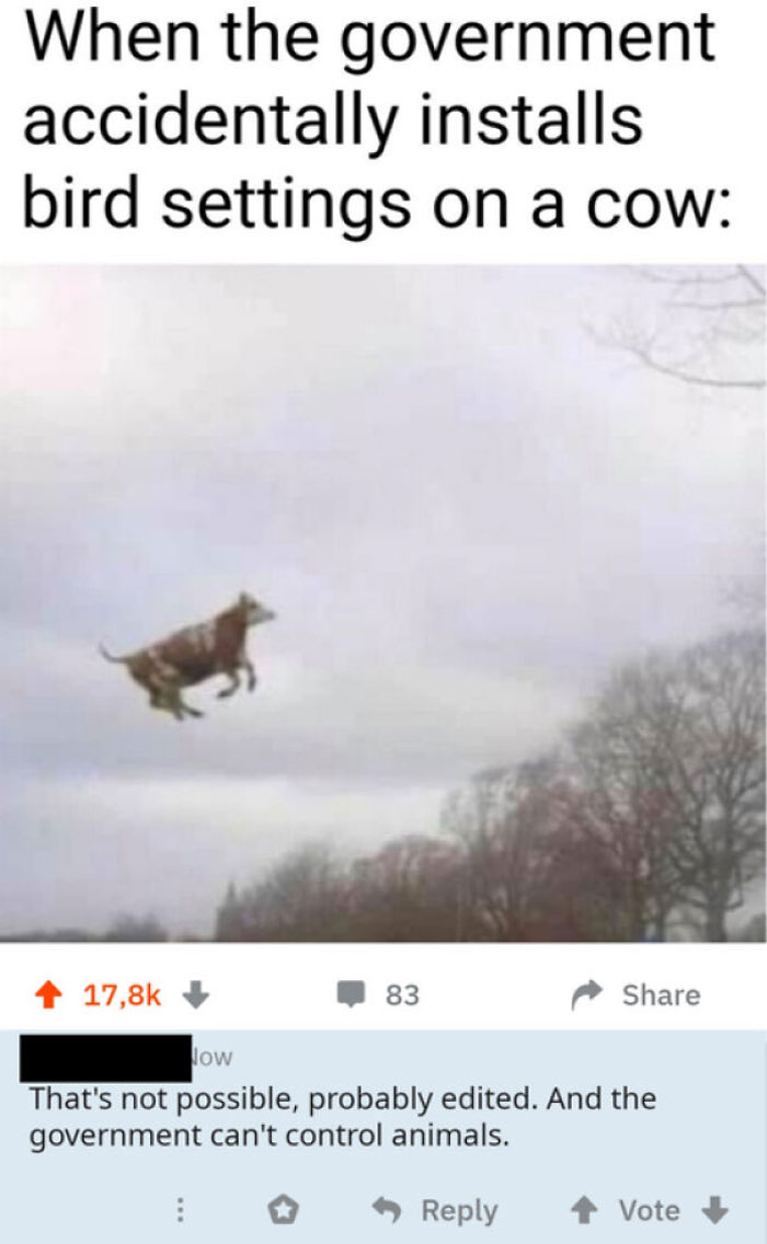 The Government Controls Everything Stoopit