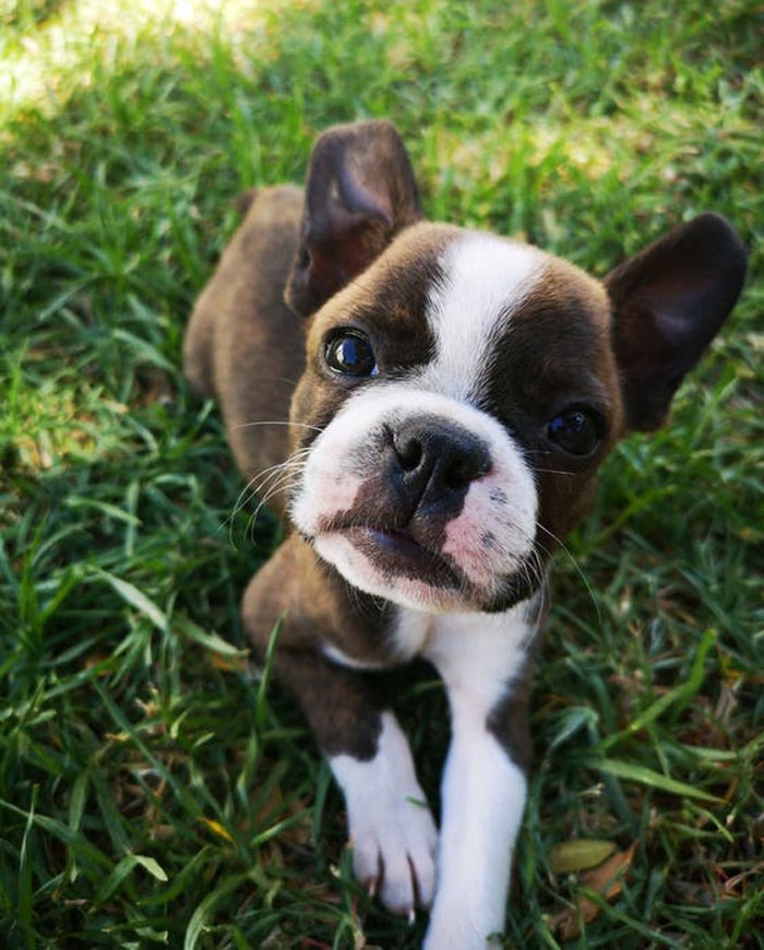 40 Parents Are Sharing The Craziest Stuff They Heard Their Children Say, And You Wonder What’s Going On In These Small Heads