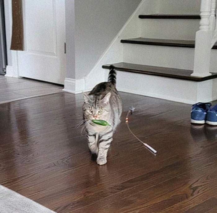 My Little Guy Has Started Stealing Our Jalapeños Off The Counter Lately