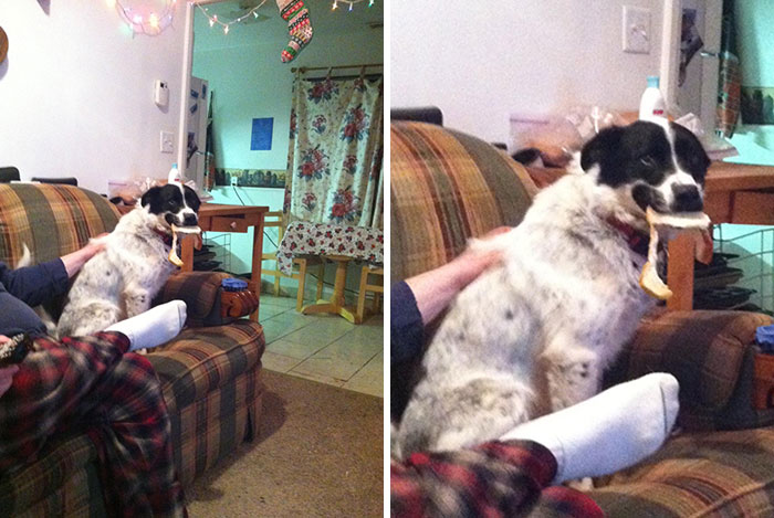 He Stole A Piece Of Bread, Then Proceeded To Forget He Had It While Snuggling