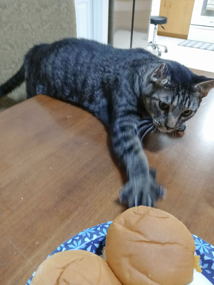 Stealing My Food, Eh?