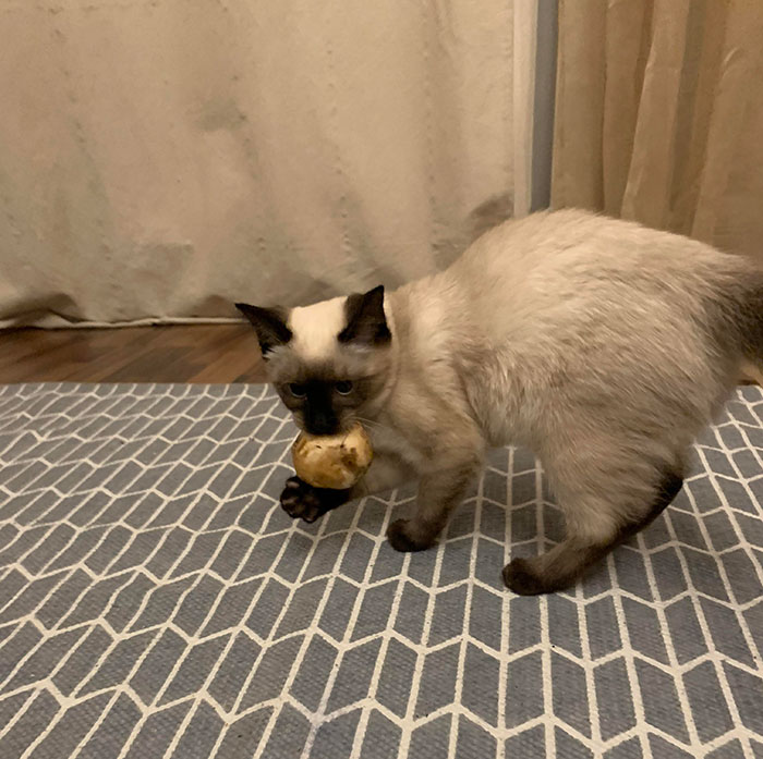 Nothing Special. She Just Stole My Mushroom