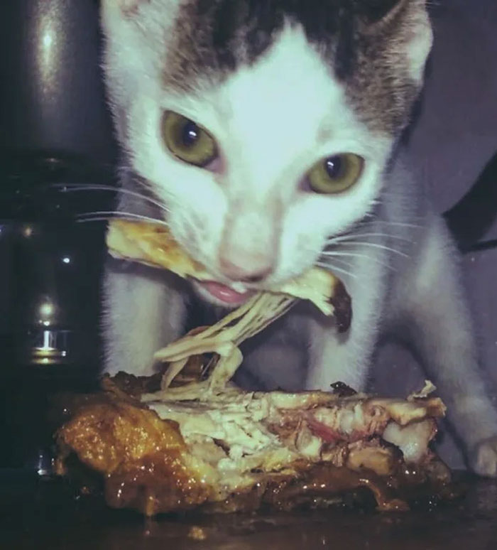 When You Get Caught Stealing The Chicken