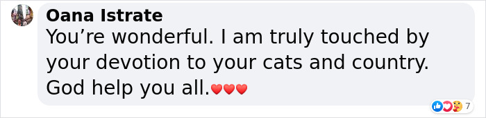 &ldquo;We Would Never Leave Our Country&rdquo;: Ukrainian Cat Caf&eacute; Stays Open Amid War